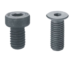 Low head hex socket head bolt