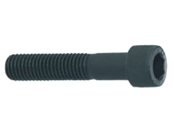 Hexagon socket head bolt