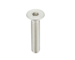 Hexagon socket head bolts