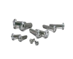 Double hole pan head screw